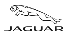 Jaguar LogoBW